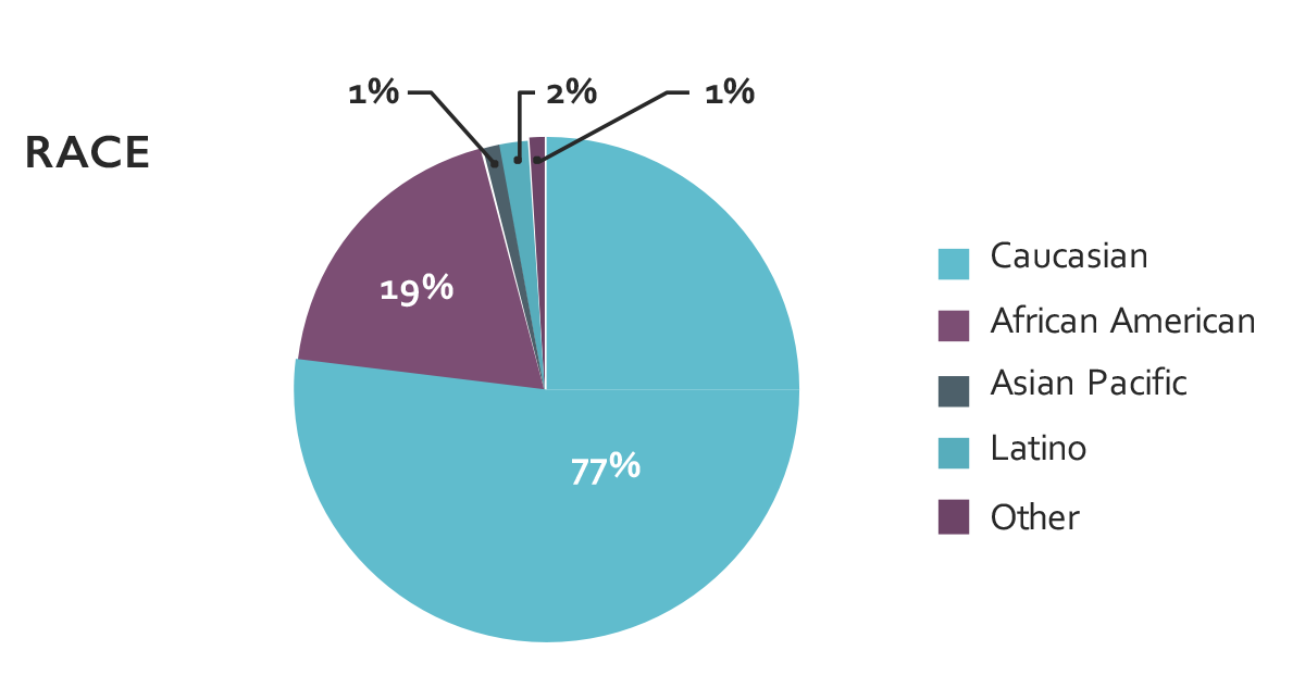 pie chart of LIBD Brain Repository collection based on Race